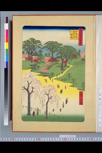 Famous Views of Edo in One Hundred Scenes: Shitaya Hirokoji