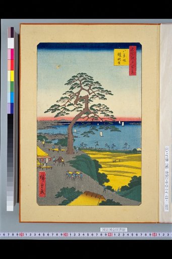 One Hundred Views of Famous Places in Edo: Hakkai-zaka Armor-hanging Pine