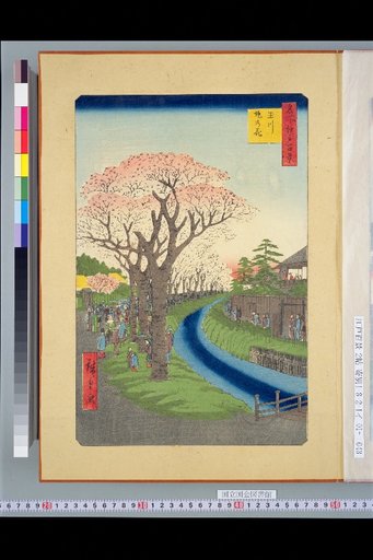 One Hundred Views of Famous Places in Edo: Flowers on the Tamagawa Embankment