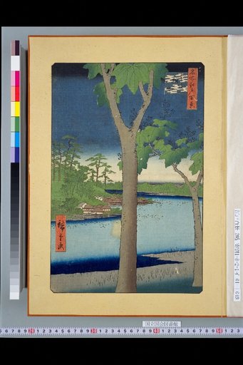 One Hundred Views of Famous Places in Edo: Akasaka Paulownia Grove