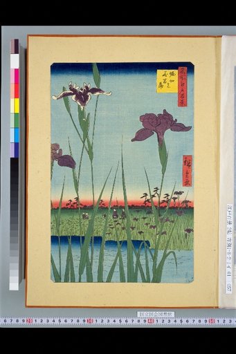 One Hundred Famous Views of Edo: Iris at Horikiri