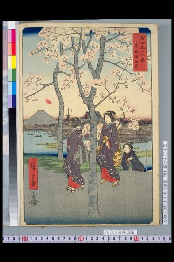 Eastern Capital: Sumida Dike