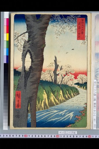 Musashi: Koganei