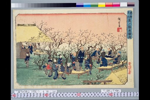 Famous Places of the Eastern Capital: Kameido Plum Shop