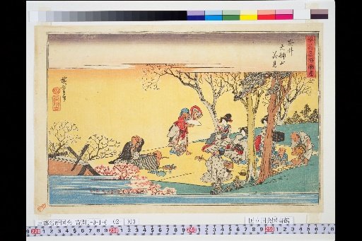 Illustrated Guide to Famous Places of Naniwa: Yasui Tenjin-san Cherry Blossom Viewing