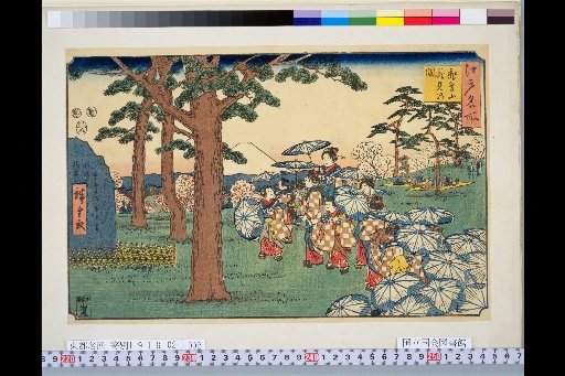 Famous Places of Edo: Map of Flower Viewing at Asukayama