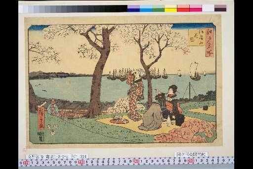 Famous Places of Edo: Midoriga-yama in Full Bloom