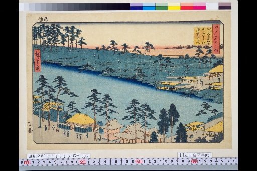 Famous Places of Edo: Map of Yotsuya Kakitsubata Jūni-sō no Ike Kuma Shrine