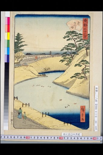 Sotokura Sakura Fields
