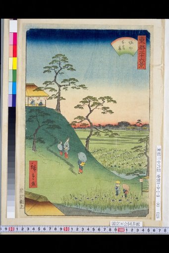 Horikiri Iris