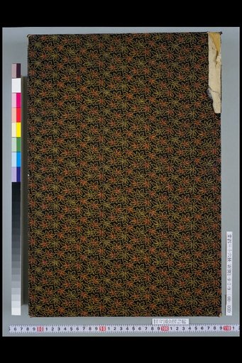(Back Cover)
