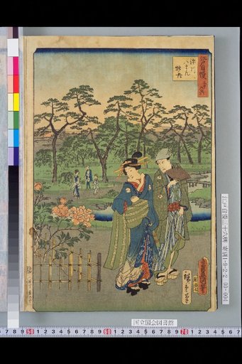 Fukagawa Hachiman Peonies