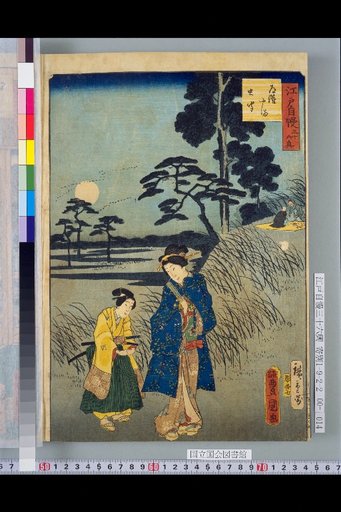 Michinobu-yama Insect Listening