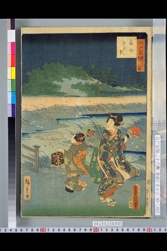 Ochiai Fireflies