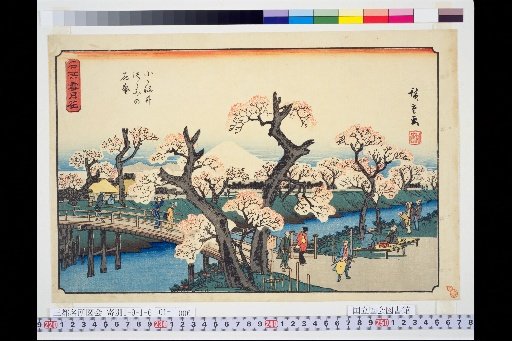 Famous Places: Snow, Moon, and Flower