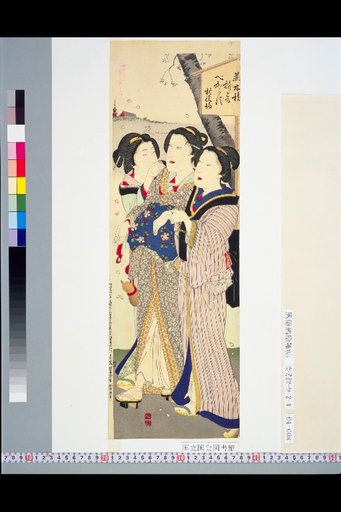 The Female Master's Flower-Viewing Meitei