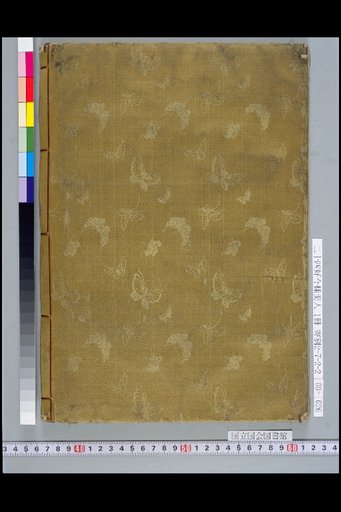 (Back Cover)