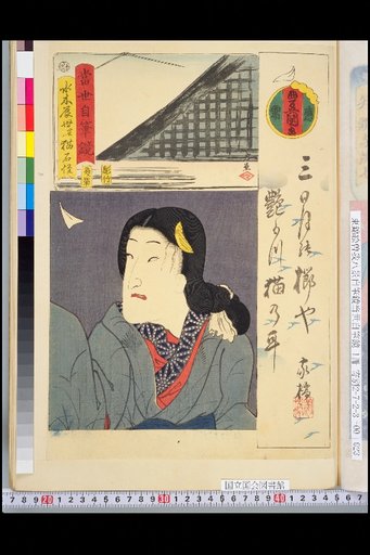 Contemporary Self-Written Mirror: Mizuki Tatsuyo, Real Name Nekoishi Kai