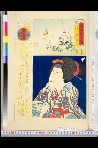 Contemporary Self-Written Mirror: Geisha Wakakusa