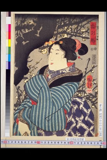 Plum Blossom Leader