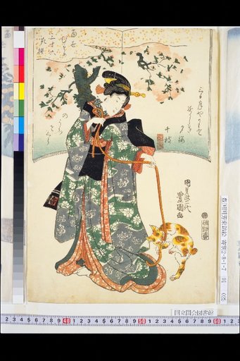 Thirty-Six Flowers of Modern Girls: Cherry Blossom