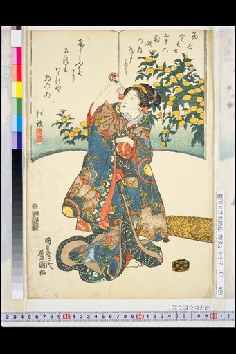 Thirty-Six Flowers of Modern Girls: Yamafuki