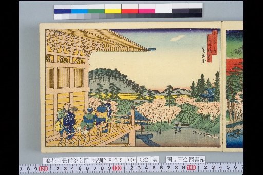 Famous Places of the Capital: Viewing the Umbrella at the Main Hall of Chion-in