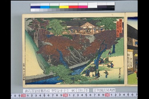 Famous Places of the Capital: Tendo-kyo Bridge at Tofuku-ji