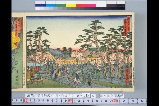 Famous Places of the Capital: Grounds of Kitano Tenmangu Shrine