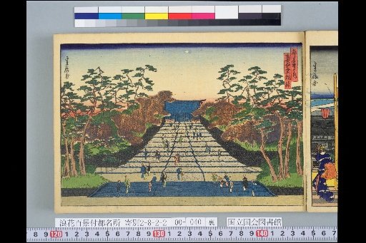 Famous Places of the Capital: Maple Grove at Shonindo