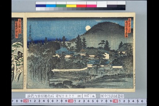Famous Places of the Capital: Night View at Maruyama Enman-ji