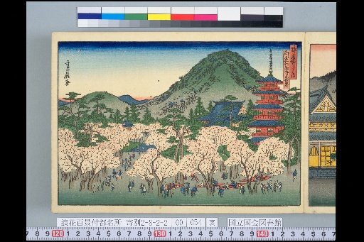Famous Places of the Capital: Omuro Ninnaji in Full Bloom