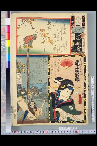 Edo Flower Famous Places Assembly, Special Request, Extra, Onoe Eizaburō / Autumn Leaves at Akiba / Akiba