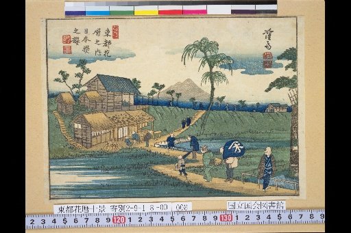 Within the Flower Calendar of the Eastern Capital: Cherry Blossoms at Nihon-zutsumi
