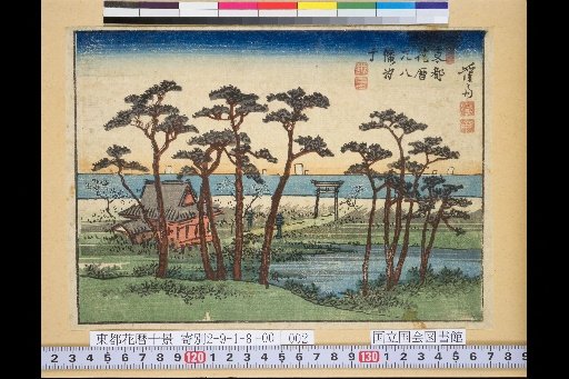 Eastern Capital Flower Calendar: Low Tide at Motohachiman
