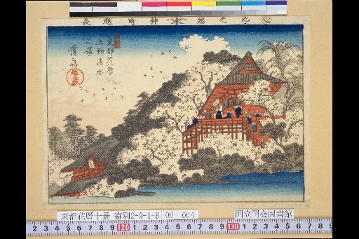 Eastern Capital Flower Calendar: Cherry Blossoms at Ueno Shimizu