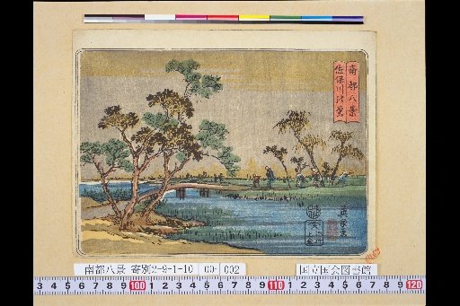 Fireflies at the Saho River