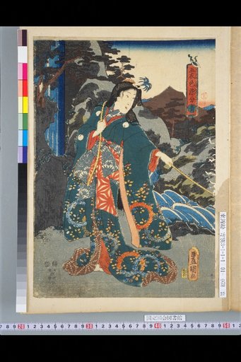 Five-Color Dye Variations: Blue