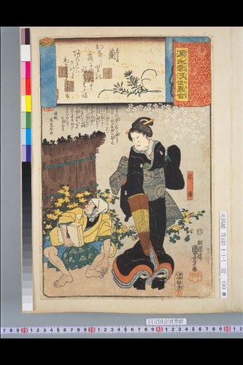 Genji Cloud Ukiyo-e Collection: Orchid - Iwafuji
