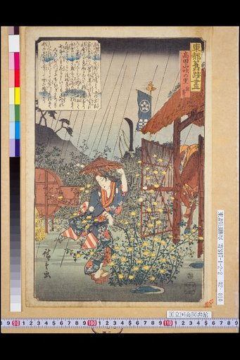 The Legend of Takada Yamabuki Village