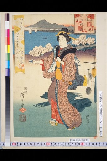 Cherry Trees on the Sumida Embankment
