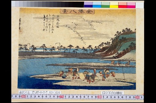 Flock of Geese Descending at Hiragata