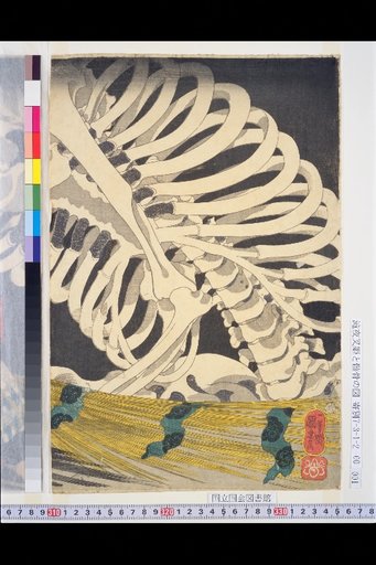 Takiyasha-hime and the Skeleton