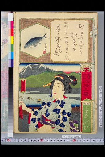 Fifty-Three Stations of the Tokaido (Paintings and Calligraphy): Sagami Odawara, Distant View of the Sunogawa River
