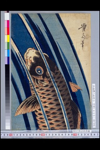 Carp Climbing the Waterfall by Keisai