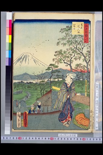 Thirty-Six Views of Edo Pride: Meguro Gyokko-zaka Fuji