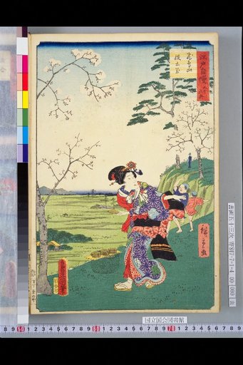 Thirty-Six Views of Edo Pride: Asukayama Thrown Pottery