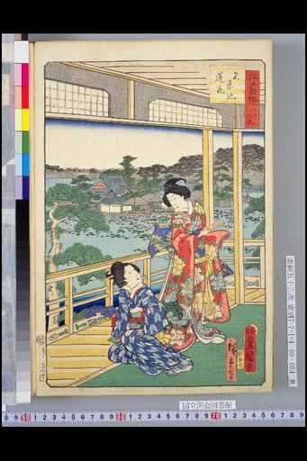 Thirty-Six Views of Edo Pride: Shinobazu-pond Lotus Flower