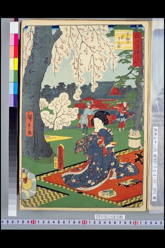 Thirty-Six Views of Edo Pride: Togyo-zan Flower Peak