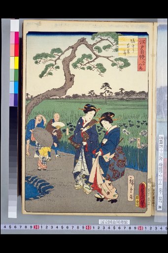 Thirty-Six Views of Edo Pride: Hori-kiri Iris